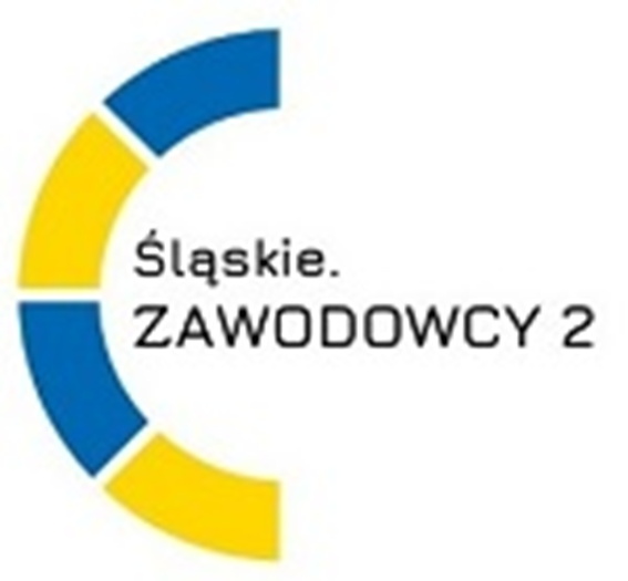 zawodowcy2